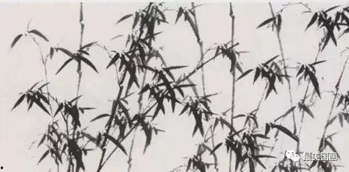 国画竹叶视频,国画竹叶艺术之美